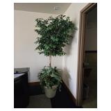 Cont. We have 3 they are statement Makers!