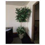 Cont...Great for anywhere