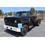 Large Online Auction