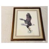 Hugh Hirtle American Bald Eagle Print