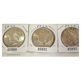  Selection of Silver Peace Dollars  Auction Estimate $20-$50 each – Located Inside 