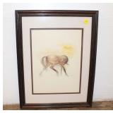 Lot 530 Vintage drawing of horse marked mod stage 27 approx. 14"x18" framed artwork