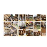 75% BLOW OUT 3 HOUR SALE!