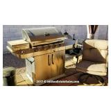 Large Gas Grill