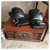 Everlast Boxing Gloves
