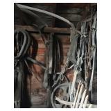 horse tack