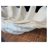 Large Clamshell