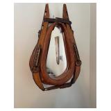 fun equestrian mirror