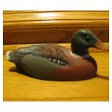 Wood Duck 