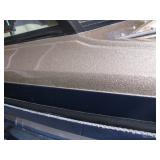 Gold Sparkle and Navy Blue Paint 