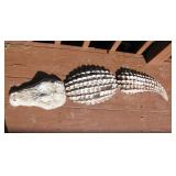Alligator Garden Art 