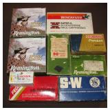 Ammunition - Gun - Rifle 