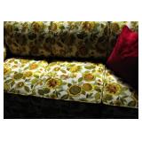 Really Cool Sleeper Sofa 