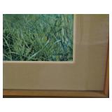 Carolyn Blish Artwork 