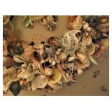 Sea Shell Wreath - Large