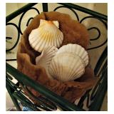 Large Sea Sponge with Shells 