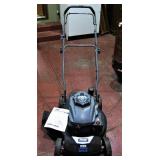 Pulsar 20 inch Lawn Mower 
