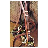 Horse Headstall Reins and Straight Bar Bit 