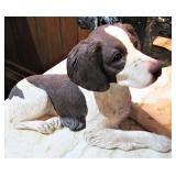 Sandicast Springer Spaniel 