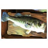 Largemouth Bass Taxidermy Fish Mount 