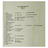 Golf Swing Emulator Machine 