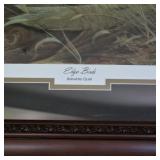 Edge Birds - Bobwhite Quall 