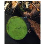 Made it Italy Nativity Scene