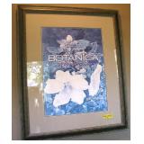 Framed Botanica ~ Very Nice