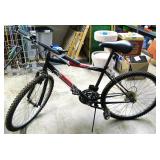 Roadmaster Trail Bike