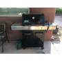 Weber gas frill