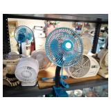 fans & lights