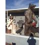 Cement yard statues