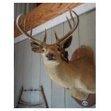 RANCH ESTATE SALE #1 IN BLANCO,TX!