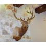 Canyon Springs Estates Downsizing sale