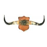 The Old West - Cowboys & Indians