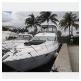 Viking Sport Cruiser