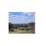 Canyon Lake TX Hill Country Land with Home Canyon Lake TX Hill Country Land with Home