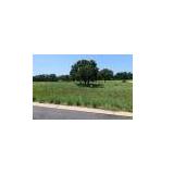 Residential Land in Horseshoe Bay TX Residential Land in Horseshoe Bay TX