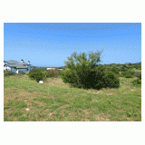 Blazing Star, Horseshoe Bay TX