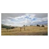 10702 Grand View Rd. Montague CA