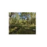 Gainesville FL Residential Land