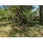 Gainesville FL Residential Land