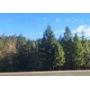 9 Lots in Selma OR