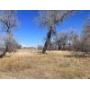 13100 Cameron Drive, Brighton, Colorado 80603