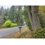 Vashon WA