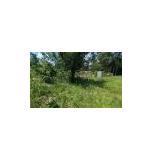 VacanVacant Land, Rusk TXt Land, Rusk TX