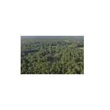 Vacant Land, Rusk TX