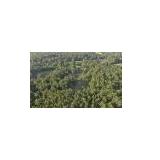 Vacant Land, Rusk TX