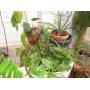 2 DAY FRI-SAT ESTATE SALE MARCH 7-8 VIRGINIA BEACH 