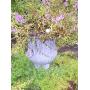 2 Day Estate Tag Sale in Riegelsville Pa Oct 5 & 6        